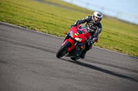PJ-Motorsport-2019;anglesey-no-limits-trackday;anglesey-photographs;anglesey-trackday-photographs;enduro-digital-images;event-digital-images;eventdigitalimages;no-limits-trackdays;peter-wileman-photography;racing-digital-images;trac-mon;trackday-digital-images;trackday-photos;ty-croes